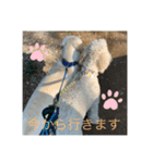 のあとソラ君（๑⃙⃘ˊ꒳​ˋ๑⃙⃘）（個別スタンプ：1）
