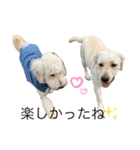 のあとソラ君（๑⃙⃘ˊ꒳​ˋ๑⃙⃘）（個別スタンプ：2）