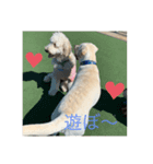 のあとソラ君（๑⃙⃘ˊ꒳​ˋ๑⃙⃘）（個別スタンプ：3）