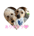のあとソラ君（๑⃙⃘ˊ꒳​ˋ๑⃙⃘）（個別スタンプ：7）