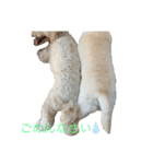 のあとソラ君（๑⃙⃘ˊ꒳​ˋ๑⃙⃘）（個別スタンプ：8）