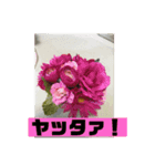 フラワーシャワー（個別スタンプ：4）