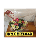 フラワーシャワー（個別スタンプ：6）