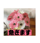 フラワーシャワー（個別スタンプ：8）