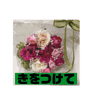 フラワーシャワー ③（個別スタンプ：1）