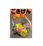 フラワーシャワー ③（個別スタンプ：4）