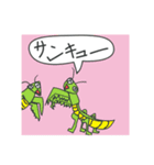 カブ2（個別スタンプ：3）