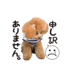 ラキちゃん2（個別スタンプ：6）