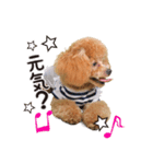 ラキちゃん2（個別スタンプ：7）