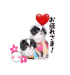 190514143056.58232K3.（個別スタンプ：1）