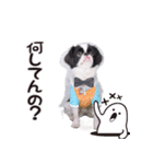 190514143056.58232K3.（個別スタンプ：2）