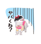 190514143056.58232K3.（個別スタンプ：3）