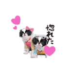 190514143056.58232K3.（個別スタンプ：4）