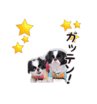 190514143056.58232K3.（個別スタンプ：5）