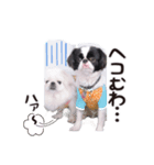 190514143056.58232K3.（個別スタンプ：7）