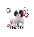 190514143056.58232K3.（個別スタンプ：8）