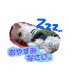可愛い可愛い菜々スタンプ（個別スタンプ：2）