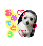 可愛い可愛い菜々スタンプ（個別スタンプ：6）