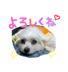 可愛い可愛い菜々スタンプ（個別スタンプ：7）