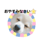 がくちん大好き（個別スタンプ：4）