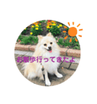 がくちん大好き（個別スタンプ：5）