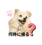 がくちん大好き（個別スタンプ：7）