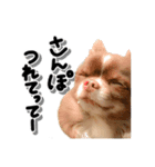 伊名波さんのスタンプ（個別スタンプ：1）