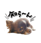 伊名波さんのスタンプ（個別スタンプ：2）