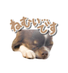 伊名波さんのスタンプ（個別スタンプ：4）