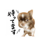 伊名波さんのスタンプ（個別スタンプ：5）