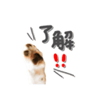 伊名波さんのスタンプ（個別スタンプ：6）