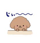 toy poo.（個別スタンプ：1）