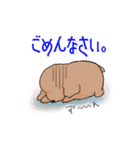 toy poo.（個別スタンプ：8）