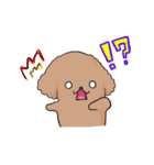 toy poo.（個別スタンプ：16）