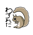 動物たちの日常会話講座（個別スタンプ：7）