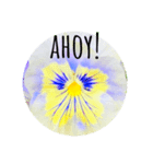 violas saying AHOY！（個別スタンプ：3）