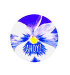 violas saying AHOY！（個別スタンプ：4）