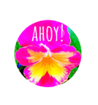violas saying AHOY！（個別スタンプ：7）
