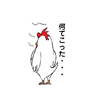 ニワトリの天下トリ（個別スタンプ：19）