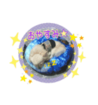 りんこじさく①（個別スタンプ：2）