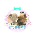 りんこじさく①（個別スタンプ：3）