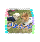 りんこじさく①（個別スタンプ：4）