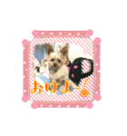 りんこじさく①（個別スタンプ：5）