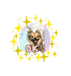 りんこじさく①（個別スタンプ：8）