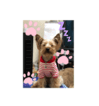 癒しライト☆（個別スタンプ：3）