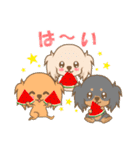 可愛いダックス犬スタンプ夏用（個別スタンプ：14）