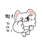 可愛い猫(korea version.2)（個別スタンプ：13）