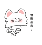 可愛い猫(korea version.2)（個別スタンプ：23）