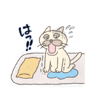 気まぐれネコ助2（個別スタンプ：28）