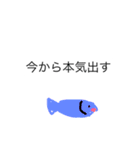 これから本気出すワ（個別スタンプ：5）